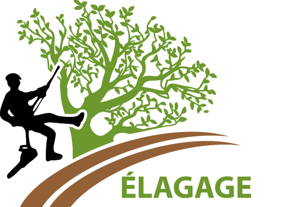 Elagage 57 Metz en Moselle