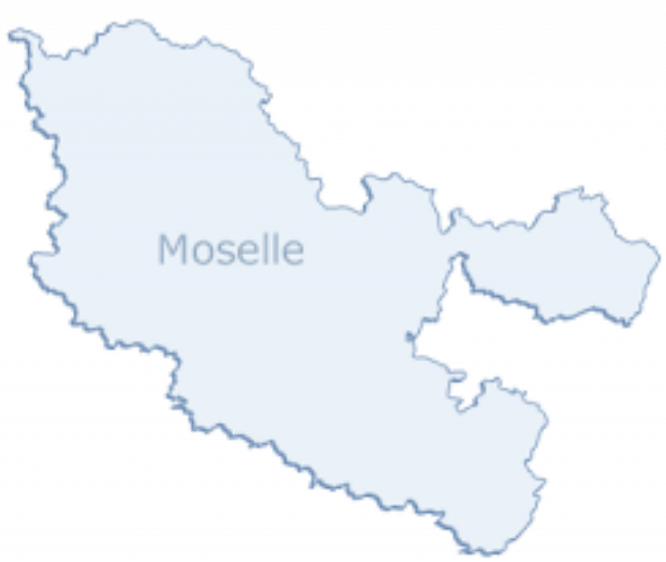 Elagueur dans le 57 à Metz en Moselle
