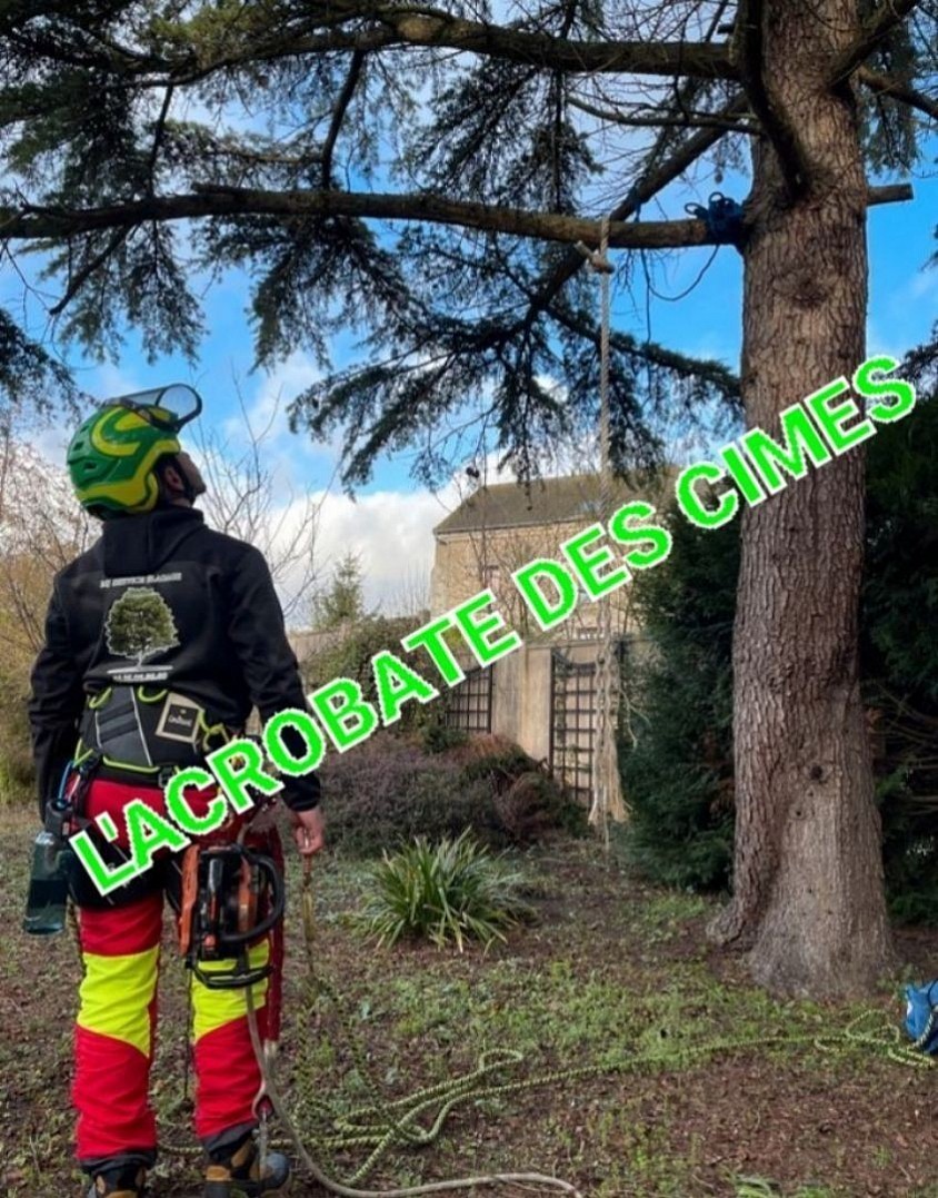 Elagueur dans le 73 Savoie
