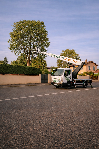 Abattage d'arbre dangereux